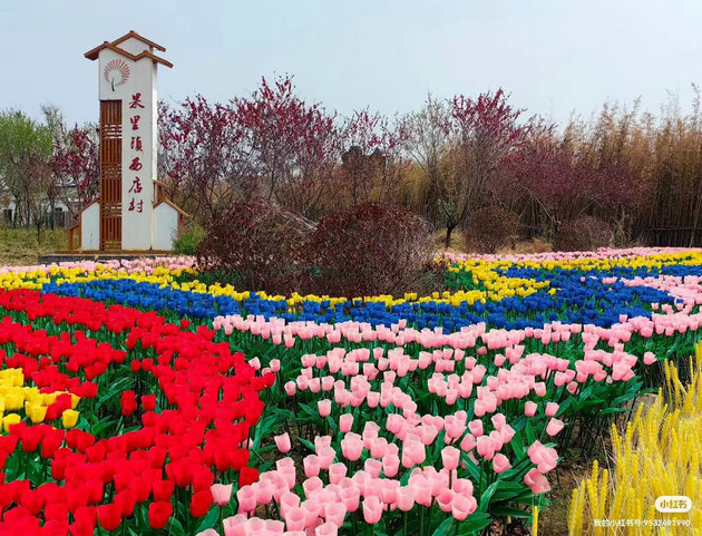 淄博西店村 文/石岩磊(图1) 00.jpg