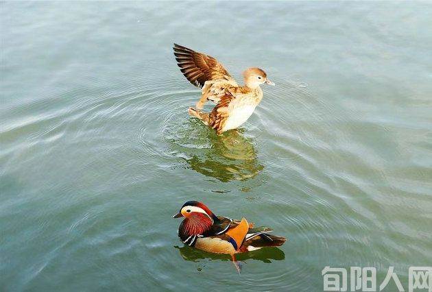 平定河那个地方 文/常正安(图4) 平定4.jpg