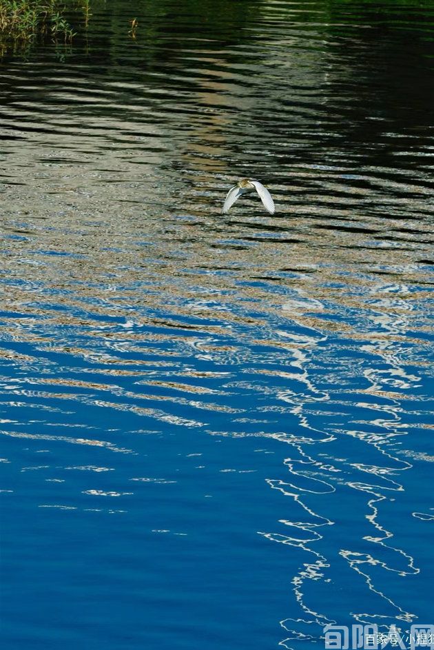 平定河那个地方 文/常正安(图5) 平定5.jpg