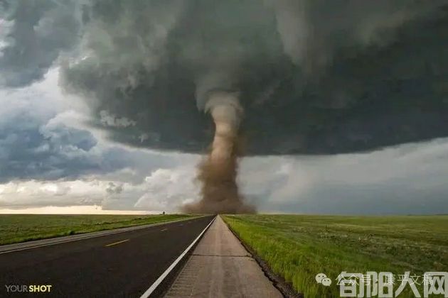 科幻电影：台风袭击（5）   文/李康平