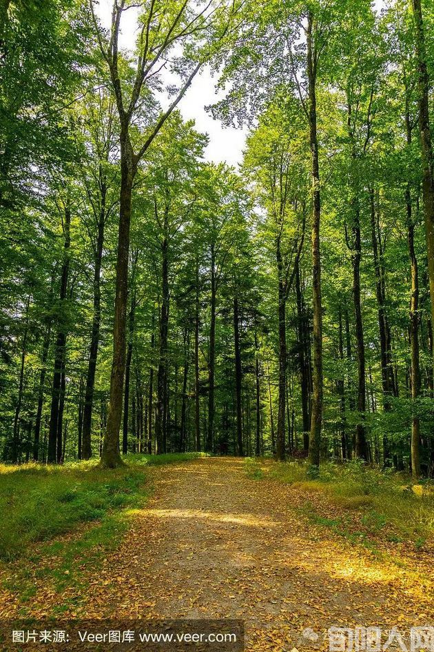 科幻电影：台风袭击（6）  文/李康平