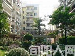 六十以后：非典型案件（5）   文/李康平