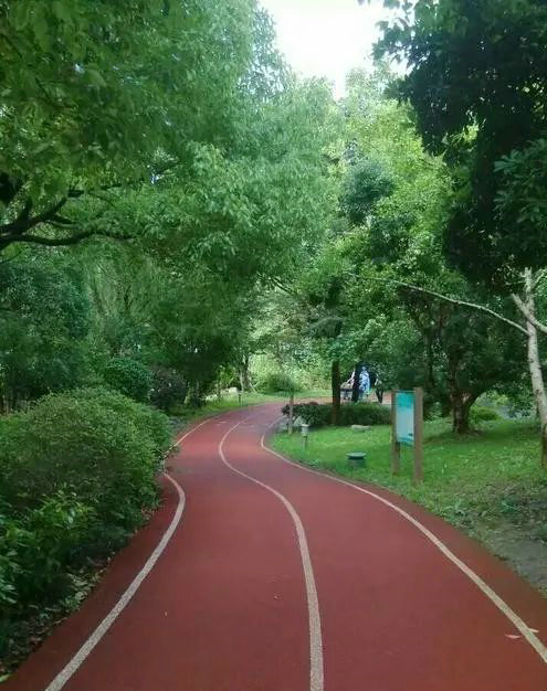 《六十以后》3：慢慢适应（3）  文/李康平