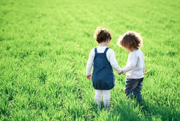 小说连载《六十以后》8.情感之变（1）    文/李康平