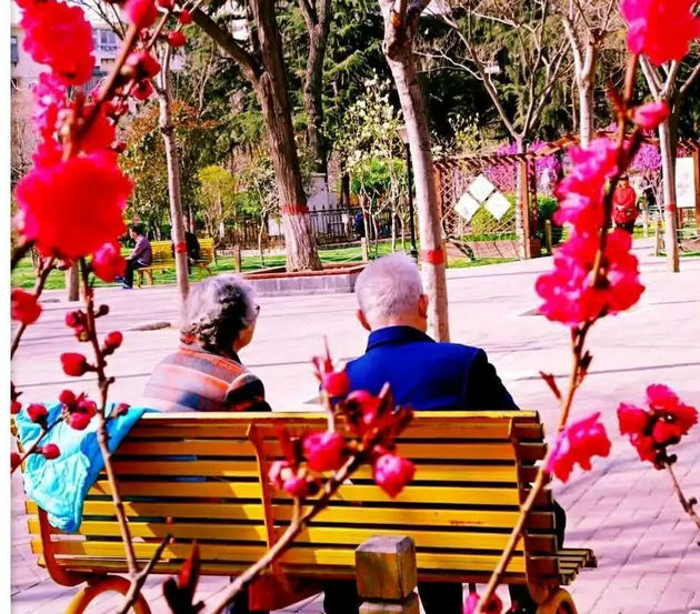 小说连载《六十以后》9.老朽新春（1）    文/李康平