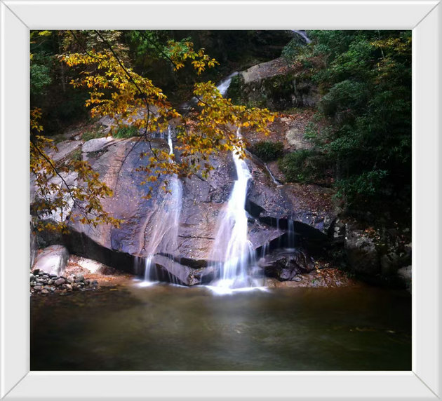 初  冬            文/刘承印