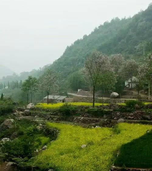 站在山顶上的少年 文/唐巴(图1) 山.jpg