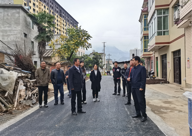 陕西旬阳市白柳镇：汇聚“政”能量   “协”创好环境