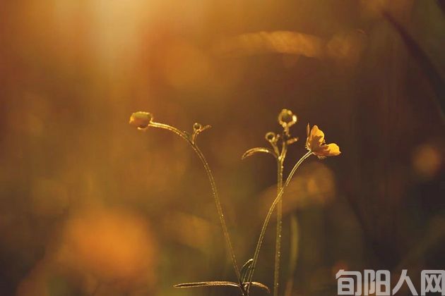 真正高情商的人，跟意见不一致的人从不争辩