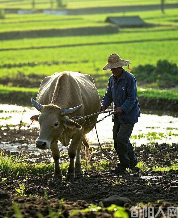 农夫 文/李明清(图1) 农耕.jpg