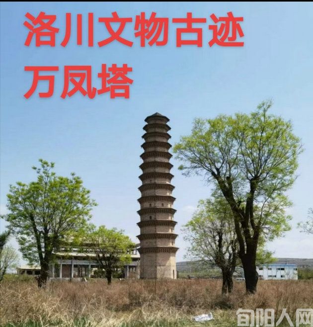 屈发全：烂柯山