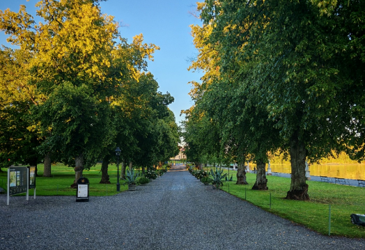 任永强：走进北欧（一） ——从奥斯陆的雕塑到皇后岛的风